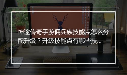 神途传奇手游佣兵族技能点怎么分配升级？升级技能点有哪些技巧？
