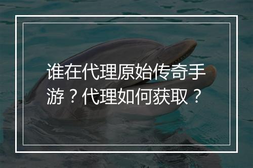 谁在代理原始传奇手游？代理如何获取？