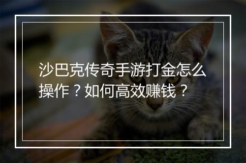 沙巴克传奇手游打金怎么操作?如何高效赚钱?