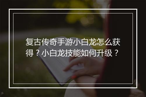 复古传奇手游小白龙怎么获得？小白龙技能如何升级？