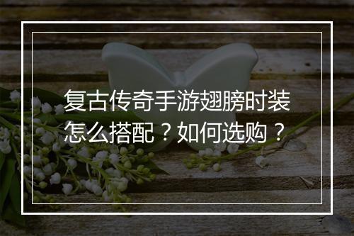 复古传奇手游翅膀时装怎么搭配？如何选购？