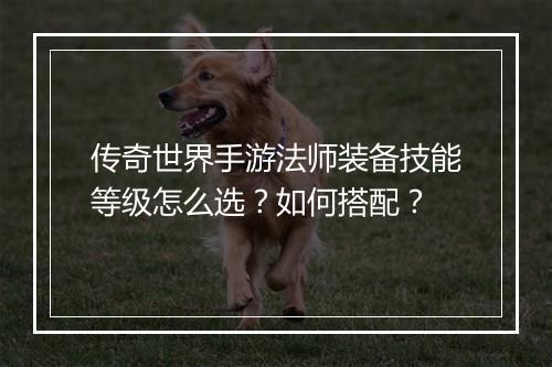 传奇世界手游法师装备技能等级怎么选？如何搭配？