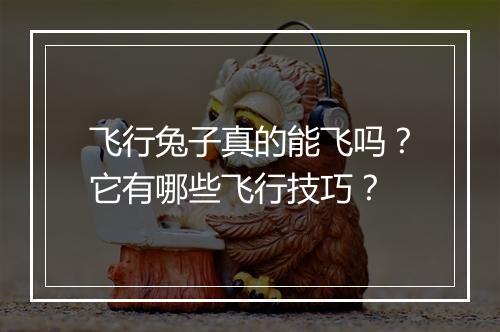 飞行兔子真的能飞吗？它有哪些飞行技巧？