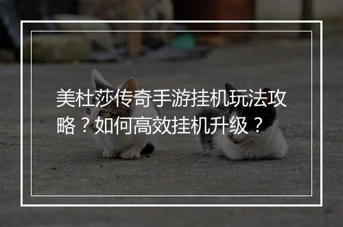 美杜莎传奇手游挂机玩法攻略？如何高效挂机升级？