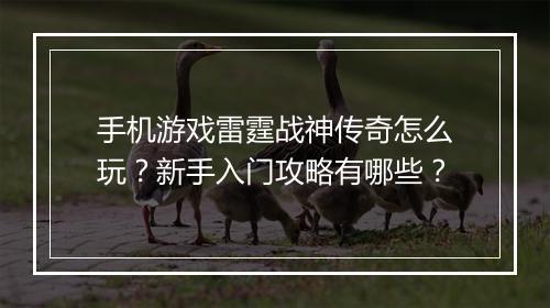 手机游戏雷霆战神传奇怎么玩？新手入门攻略有哪些？
