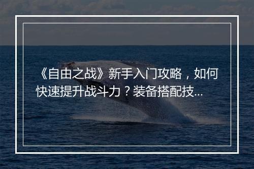 《自由之战》新手入门攻略，如何快速提升战斗力？装备搭配技巧揭秘