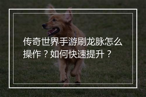 传奇世界手游刷龙脉怎么操作？如何快速提升？