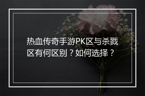 热血传奇手游PK区与杀戮区有何区别？如何选择？