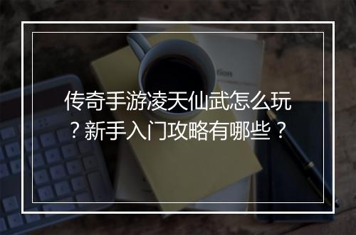 传奇手游凌天仙武怎么玩？新手入门攻略有哪些？