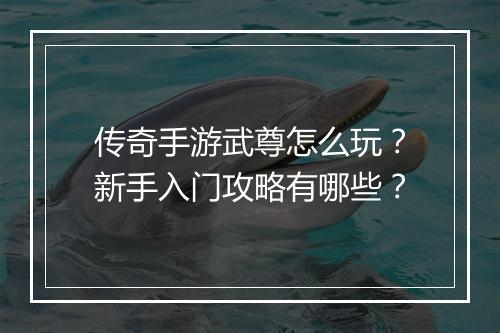 传奇手游武尊怎么玩？新手入门攻略有哪些？