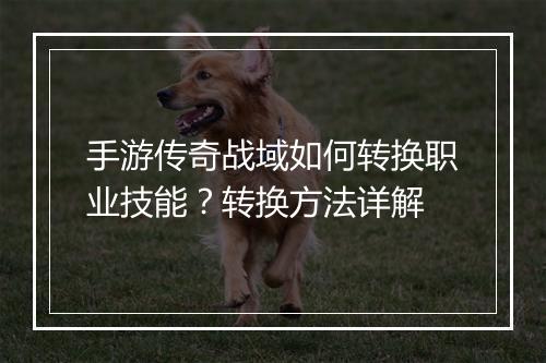 手游传奇战域如何转换职业技能？转换方法详解
