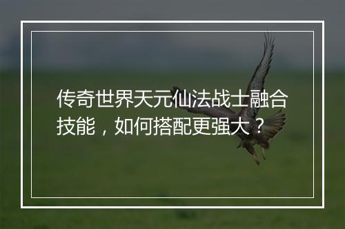 传奇世界天元仙法战士融合技能，如何搭配更强大？