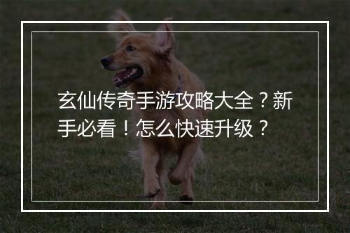 玄仙传奇手游攻略大全？新手必看！怎么快速升级？