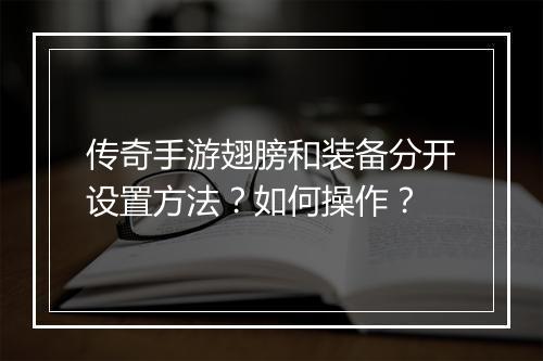 传奇手游翅膀和装备分开设置方法？如何操作？