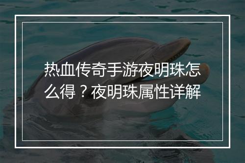 热血传奇手游夜明珠怎么得？夜明珠属性详解