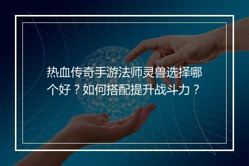 热血传奇手游法师灵兽选择哪个好？如何搭配提升战斗力？