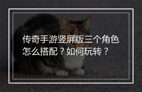 传奇手游竖屏版三个角色怎么搭配？如何玩转？
