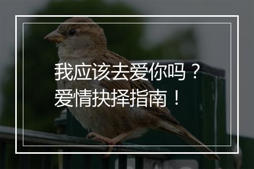 我应该去爱你吗？爱情抉择指南！