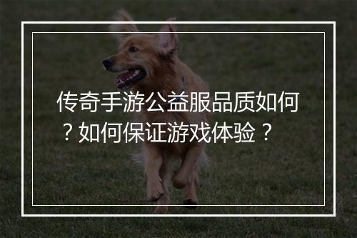 传奇手游公益服品质如何？如何保证游戏体验？