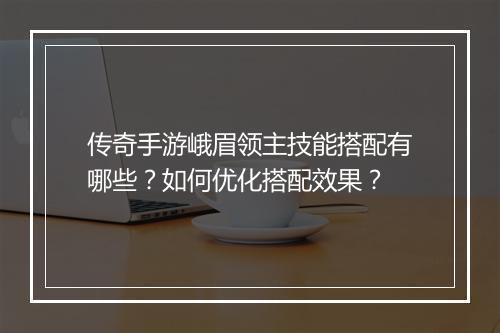 传奇手游峨眉领主技能搭配有哪些？如何优化搭配效果？