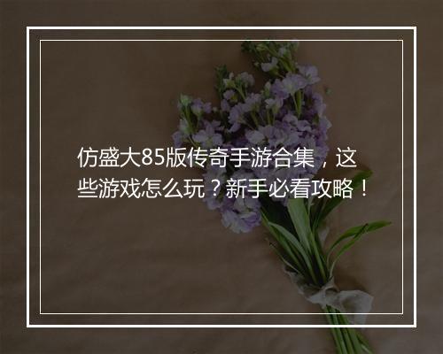 仿盛大85版传奇手游合集，这些游戏怎么玩？新手必看攻略！