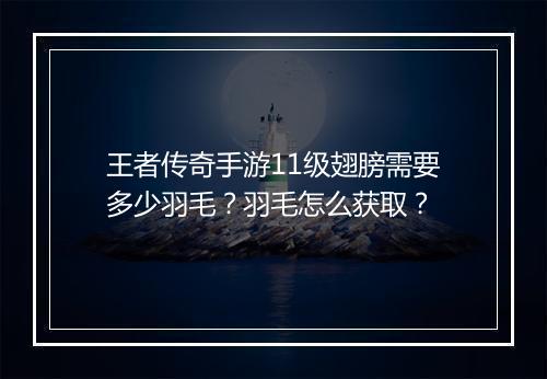 王者传奇手游11级翅膀需要多少羽毛？羽毛怎么获取？