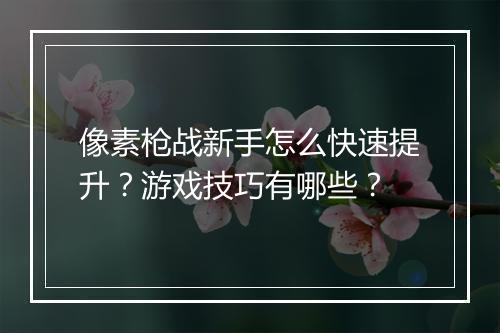 像素枪战新手怎么快速提升？游戏技巧有哪些？