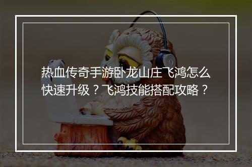 热血传奇手游卧龙山庄飞鸿怎么快速升级？飞鸿技能搭配攻略？