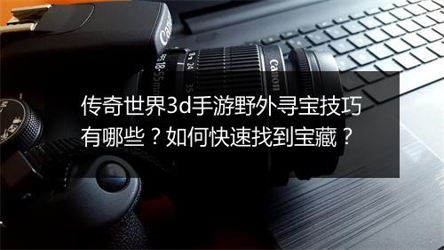 传奇世界3d手游野外寻宝技巧有哪些？如何快速找到宝藏？