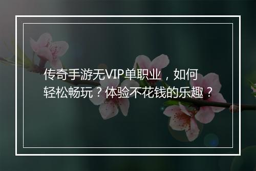 传奇手游无VIP单职业，如何轻松畅玩？体验不花钱的乐趣？