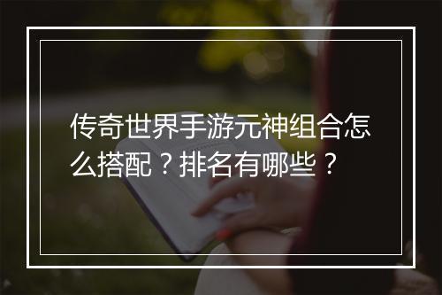 传奇世界手游元神组合怎么搭配？排名有哪些？