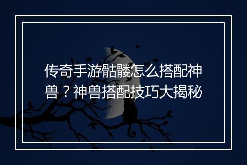 传奇手游骷髅怎么搭配神兽？神兽搭配技巧大揭秘