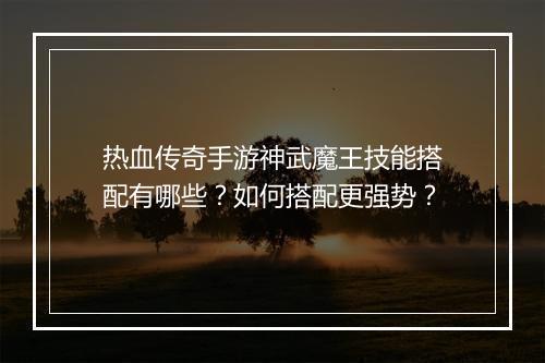 热血传奇手游神武魔王技能搭配有哪些？如何搭配更强势？