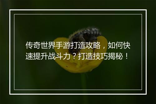 传奇世界手游打造攻略，如何快速提升战斗力？打造技巧揭秘！