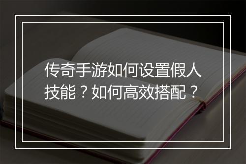 传奇手游如何设置假人技能？如何高效搭配？