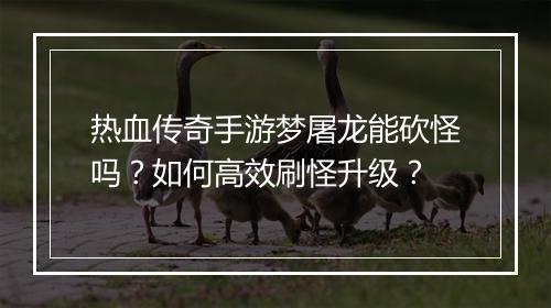 热血传奇手游梦屠龙能砍怪吗？如何高效刷怪升级？