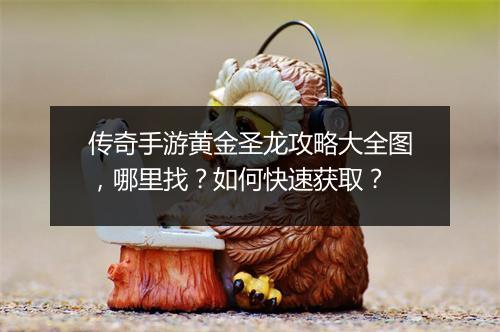传奇手游黄金圣龙攻略大全图，哪里找？如何快速获取？