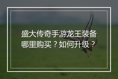 盛大传奇手游龙王装备哪里购买？如何升级？