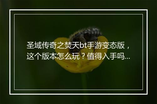 圣域传奇之焚天bt手游变态版，这个版本怎么玩？值得入手吗？