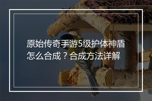 原始传奇手游5级护体神盾怎么合成？合成方法详解