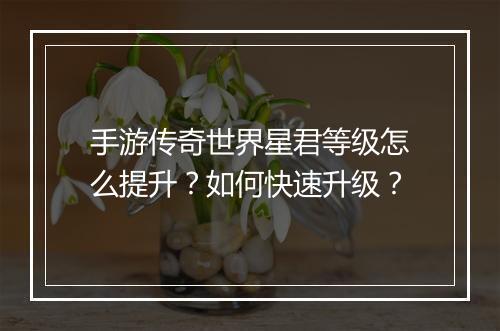 手游传奇世界星君等级怎么提升？如何快速升级？