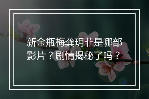 新金瓶梅龚玥菲是哪部影片？剧情揭秘了吗？