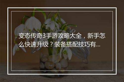 变态传奇3手游攻略大全，新手怎么快速升级？装备搭配技巧有哪些？