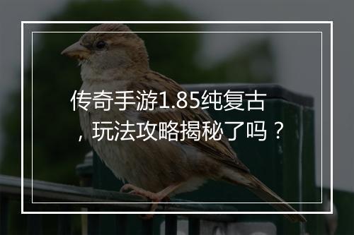 传奇手游1.85纯复古，玩法攻略揭秘了吗？