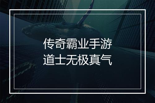 传奇霸业手游道士无极真气