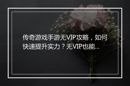 传奇游戏手游无VIP攻略，如何快速提升实力？无VIP也能畅玩？