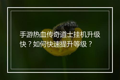 手游热血传奇道士挂机升级快？如何快速提升等级？