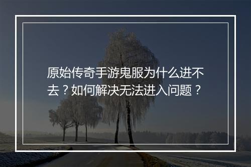 原始传奇手游鬼服为什么进不去？如何解决无法进入问题？