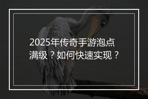 2025年传奇手游泡点满级？如何快速实现？