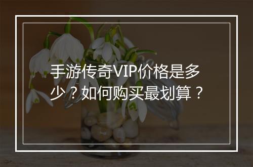 手游传奇VIP价格是多少？如何购买最划算？